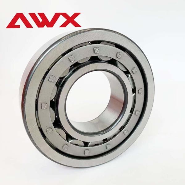 Single Row Double Row Cylindrical Roller Bearing NJ2217E NJ2218E NJ2219E NJ2220E NJ2221E