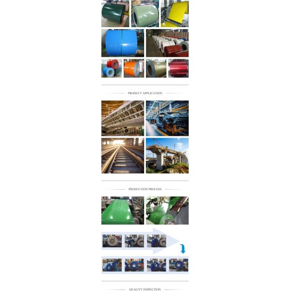 BS Standard Color Coated Prepainted Hot Galvanized Steel Coil 0.12-1.5mm Gi Gl PPGI PPGL