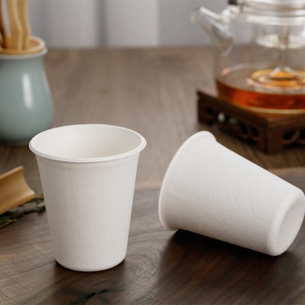 30-Day Return Policy Disposable Eco-Friendly Sugarcane Bagasse Paper Cup with Lid