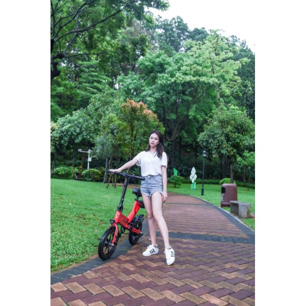 14 Inch Electric Folding Bike Lightweight Environmental Protection Energy Saving Assistant