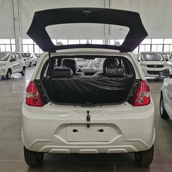 Raysince factory hot sales model 5 door electric car adult vehicle 4 Seats electric vehicles for sale