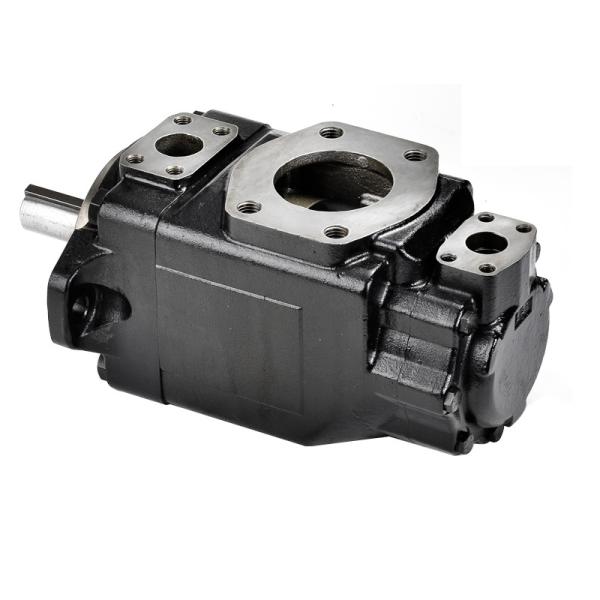 Parker Denison T6CC T6C T6ED T6D T6CM-B25-1R02-C1 T6DM B35 1R00 C5 T6E-066-1R00-A1M0 T6EC-062-022-1R 00 B1 Hydraulic Vane Pump