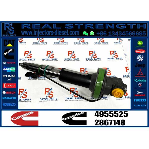 NINE BRAND высококачественный дизельный инжектор 4955525 Qsk19 инжектор инжектор топлива 4955525