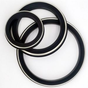 High Pressure 15000psi Hammer Union Seals with Stainless Steel Back-ups