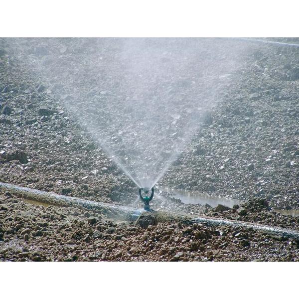 3/4''  Male Plastic Irrigation Micro Sprinklers Butterfly Water Sprinkler