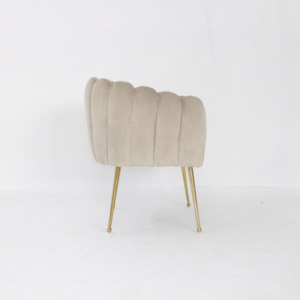 Stainless Steel Legs European Armless Velvet Dining Room Chairs