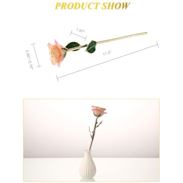 Hot Sale Gold Trimmed Rose Flower Girlfriend Gift 24k Gold Plated Natural Rose for Valentine's Day, Mother's Day Gifts
