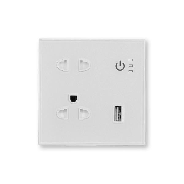 Tuya Wireless Mobile Phone Remote Control Smart Wall Plug Socket Supports Google&Alexa Voice Connection