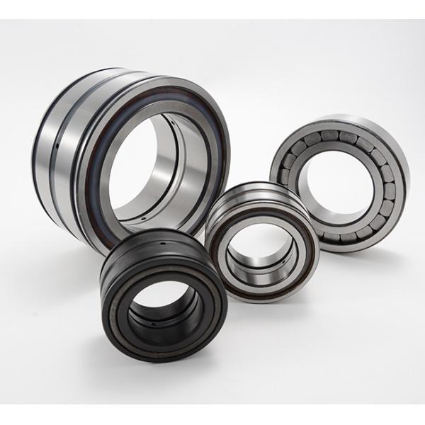 SL045016 Full Complement Roller Bearings Gcr15 Cylindrical Roller Locating Bearing