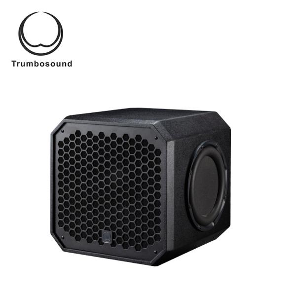 12 inch active bass loudspeaker home theater speaker indoor subwoofer speaker TR12BA