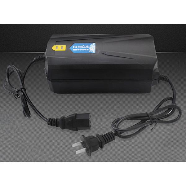 48V 54.6V 8.4 V Li Ion Battery Charger For Electric Motor Car Balance Bike