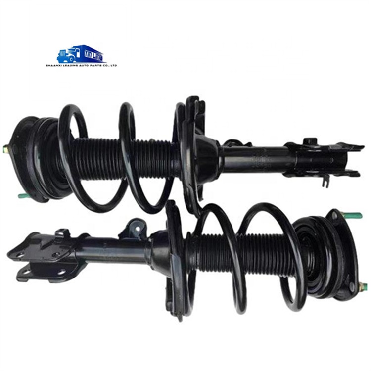 C00004662/C00033501/C00276234  Maxus V80 G10 T60 D90