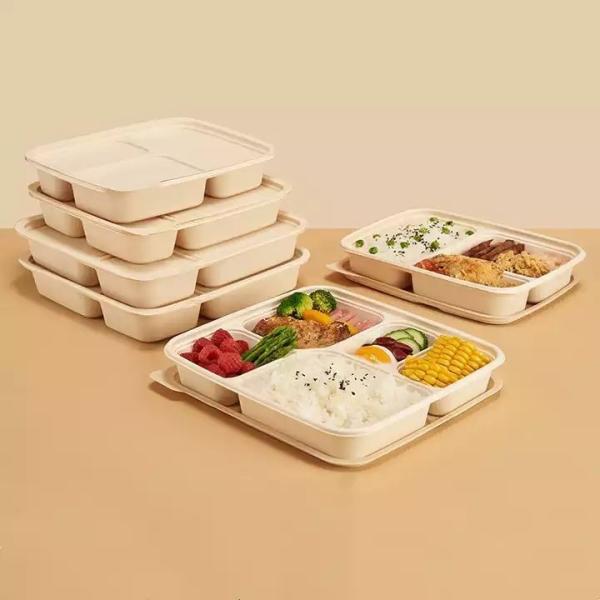 Salade emballage alimentaire biodégradable avec emballage en carton personnalisé