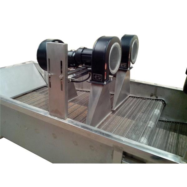 Hotels Industrial Drying Equipment For Fruits And Vegetables Fast Drying