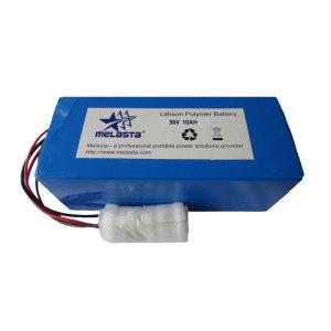 Lithium Polymer Battery Pack / E-Bike Battery Pack 36V 10Ah