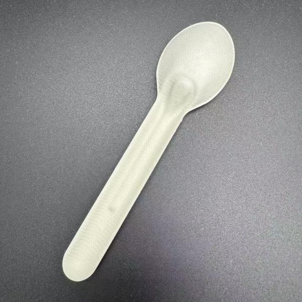 Disposable Biodegradable Food Grade Paper Pulp Cutlery For Home And Commercial Takeaway Food And Sweet Desserts