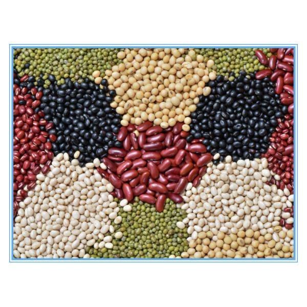 1200 mm de ancho Dos capas de pimienta Rojo máquina de clasificación de color chile Rojo máquina de clasificación de color chile