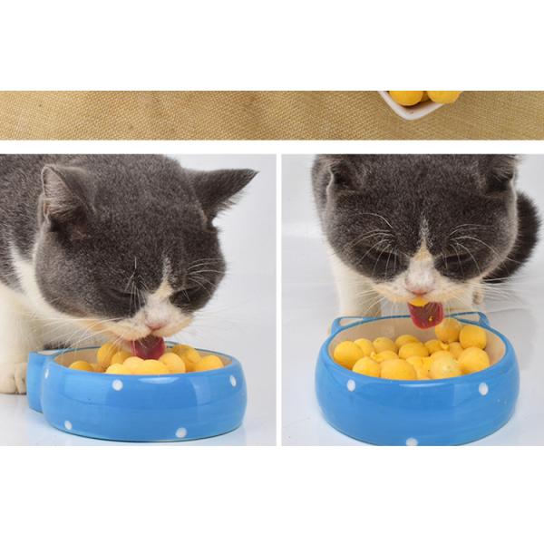 Pet Food Mini Milk Household Home Freeze Dryer 6-8kg