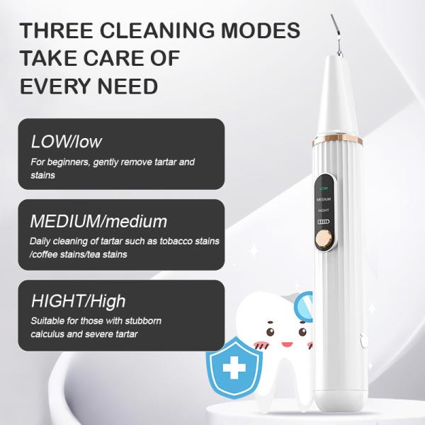 Do dente portátil dental seguro visual do Scaler de Hd ferramenta de limpeza Sonic Electric Tooth Cleaner