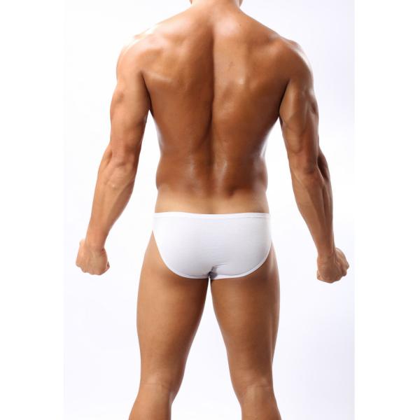 Men'S Low Rise Bikini Briefs Boxer Underwear Natural Microfiber Lightweight Underpants Modal Sexy