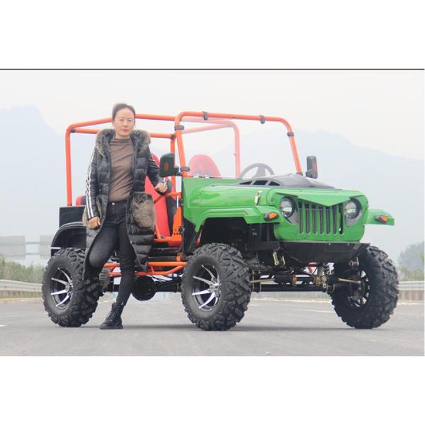 Взрослые идут Kart 300cc сильное с багги дороги Gradeability 45 градусов взбираясь