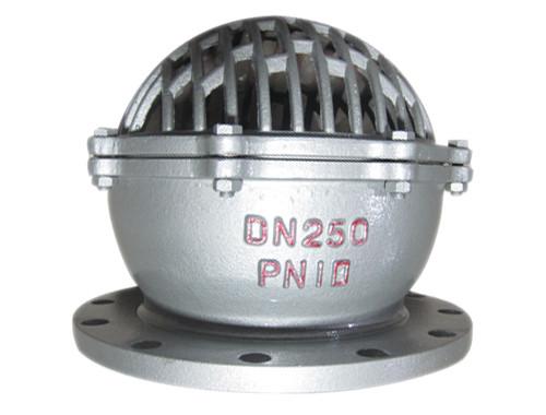 PN25 Stainer Flanged Foot Valve 3'' Stainless Steel For Water Pump