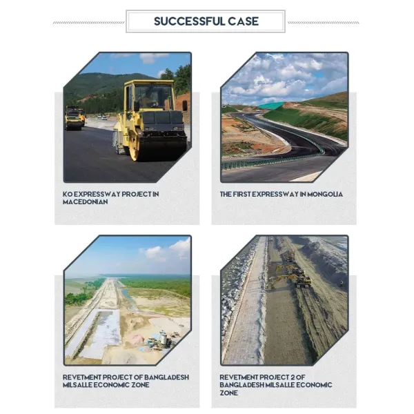 Cost-Effective Polymeric Geocomposite Strip Geogrid for Reinforced Soil Structures