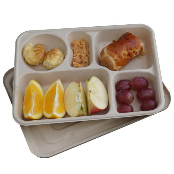 Квадрата волокна сахарного тростника 100% плиты естественного устранимые Biodegradable