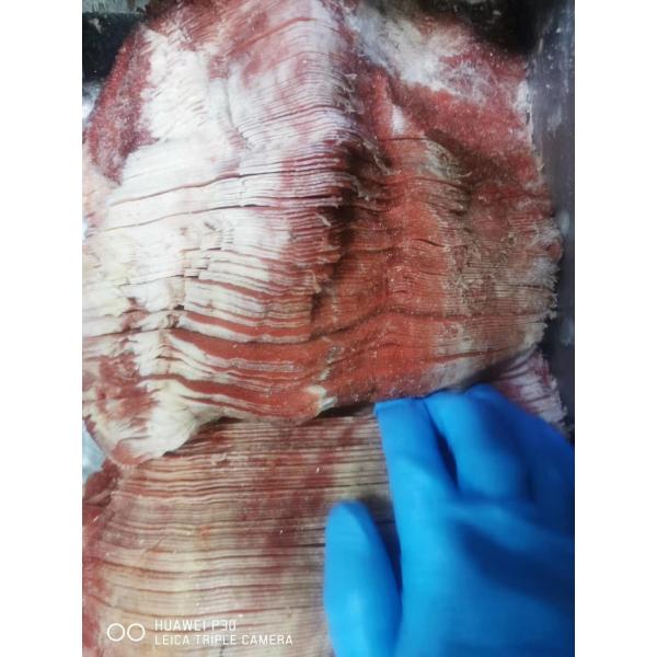 Automated Frozen Fish Slicer Machine / Industrial Sausage Cutting Equiment