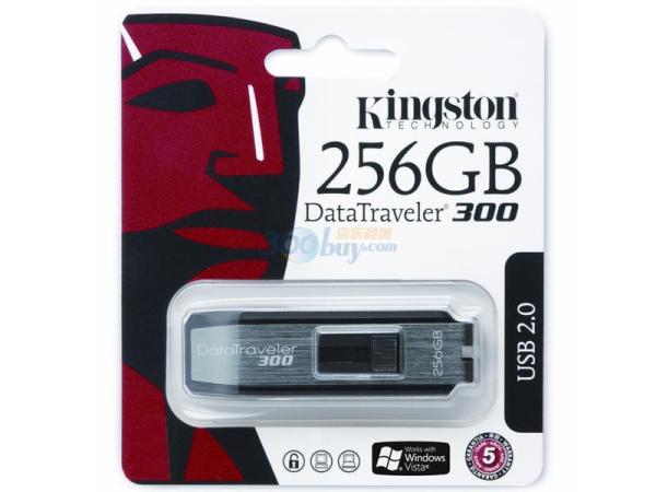 O flash marcado de USB conduz DT300