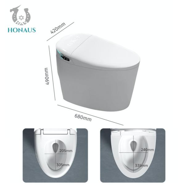 Dubai Hotel Smart Intelligent Toilet Luxury Multi Cleaning Customized