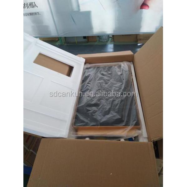 Tankless Gas Water Heater Boiler Wall Mounted Instant Shower 12000W