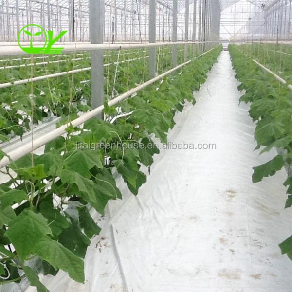 Hydroponic Greenhouse Strawberry Length 30-100m Suitable for Vegetable Fruits Flowers