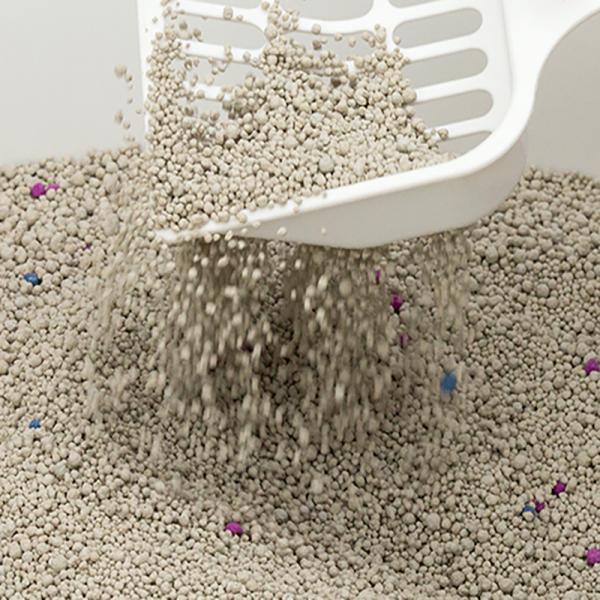 Pet Cleaning Bentonite Clay LitterDust Free Clumping Cat Litter With Colored