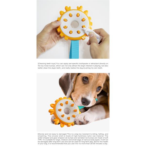 Pet Toy Pet Dog Teeth Grinding Toy Ring Dog Toothbrush Dog Chew Toy