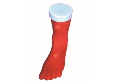 PVC Leg Pitting Edema Model Clinical Simulation For Nursing Training