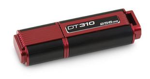 O flash marcado de USB conduz DT310