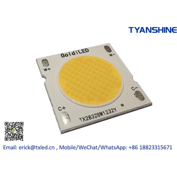 CCT Tunable White COB LED 75W 2800K-6000K 3Step Binning Variable White COB CRI90 with Solderless Holder