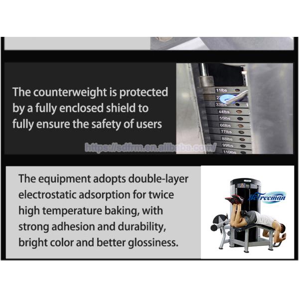 Body Building Workout Lat Pulldown and Low Row Machine for Strength Fitness Training