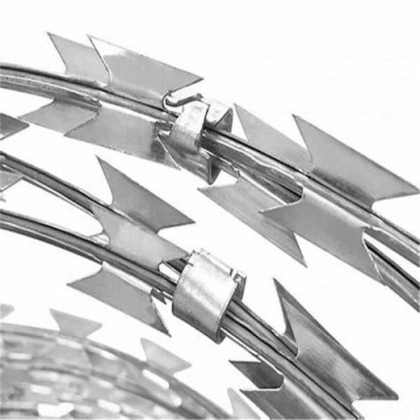 Hot Dip Galvanized Barbed Razor Wire Fence for Protective Construction with Low Carbon Steel Wire