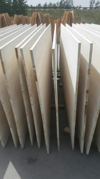 Poplar Solid Timber Board Moisture Content 8%-12% With Length 100mm-2440mm