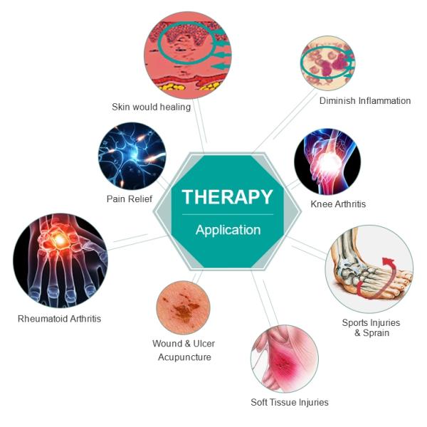 Clinic Physical Therapy Handheld Laser Device 808nm 650nm Cold Laser Therapy Machine