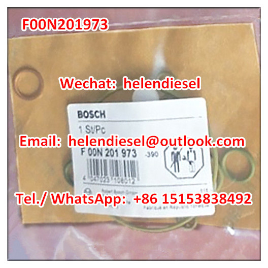 Genuine and New  Gaskets & Reseals F00N201973 , F 00N 201 973  ,  original and Brand New