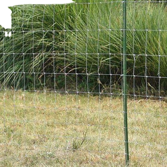 Green Coated 12 Foot Metal Fence Posts for Fenc Thick Hot Dipped Galvanized Star Picket