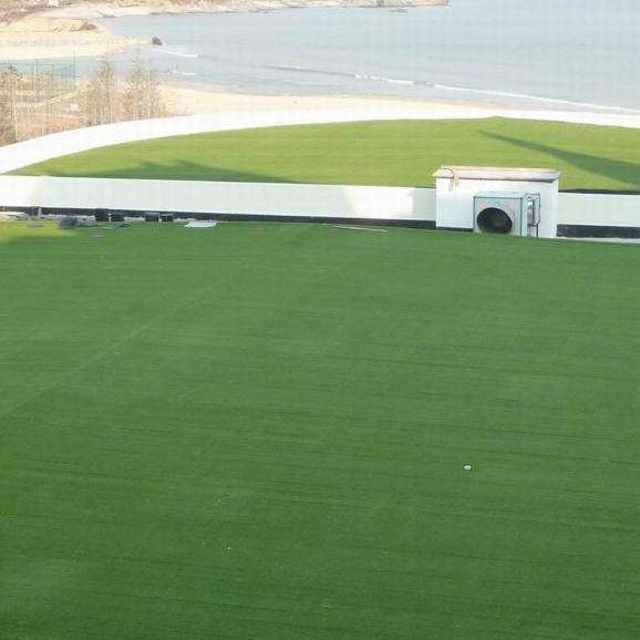 Fake Grass For Play Area Parvis Backyard Customized Size Easy Keeping