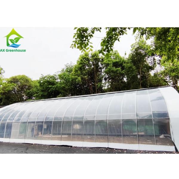 Automatic Light Deprivation Greenhouse With External Blackout System Film for Growing Hemp