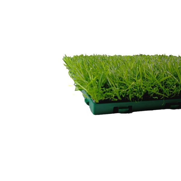 Футбол Мултироле анти- вызревания крытый справляясь повсюду сопротивление температуры