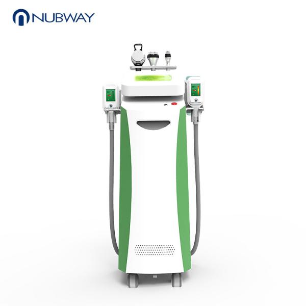 latest slimming technologies 5 handles multifunctional cryolipolisis machine