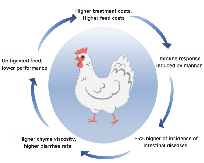Beta Mannanase in Vitro Fermentation for Palm Meal Soybean Meal Raw Material Processing