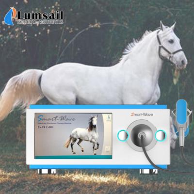 A dor reduz a máquina de baixo nível de ruído da inquietação do cavalo para o dispositivo médico dos cavalos